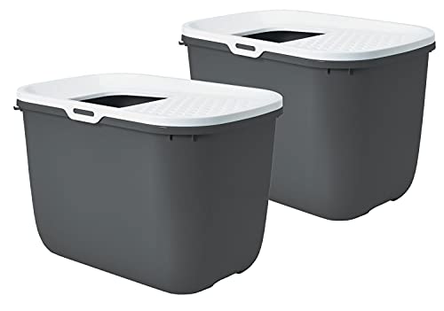 PETGARD 2er Sparpack Katzentoilette Hop IN Einstieg von Oben grau mit gratis Spielzeug