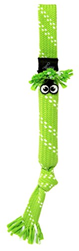 ROGZ SC03-L Scrubz Medium Teeth Cleaning Dog Toy/Hundespielzeug zahnreinigend, M, grün