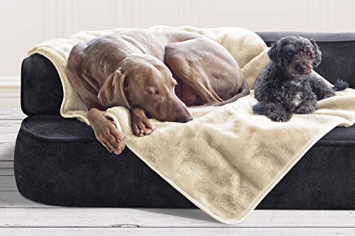tierlando® Hundedecke Lilly Plüsch Plüschdecke Hundebett Decke Katzendecke WEICH Größe: HD-150 cm | Farbe: 05 Creme
