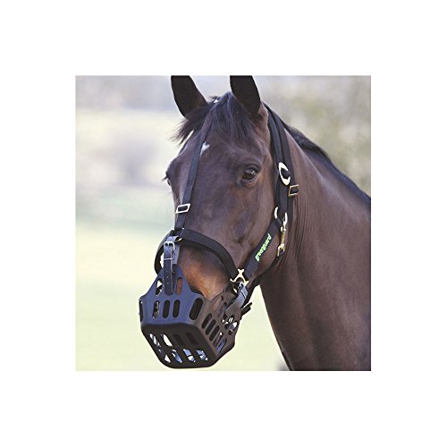 Shires Greenguard Head Collar Full Size Black