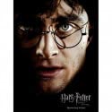 Harry Potter Impression en Verre – Harry Face – 30 x 40 cm