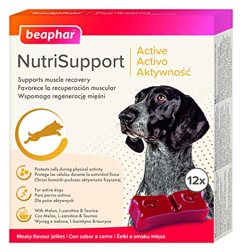 NutriSupport Active Dog 12 Gelees
