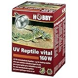 Hobby 37318 UV-Reptile vital Power, 160 W