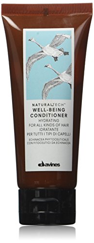 DAVINES 8004608234944 Mini Conditioner, 1er Pack (1 x 0.06 kg)