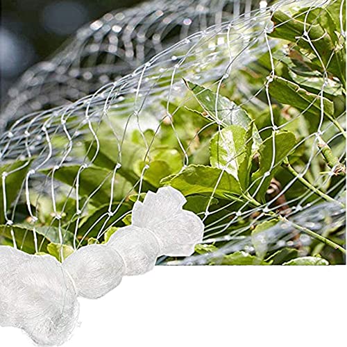 Garten Vogelschutznetze Nylon Vogelnetz Engmaschig Stabil für Obstbäume, pflanzliche Pflanzenschutz, Erbsenfruchtnetz, Weiß (Mesh : 2.5cm, Size : 5m x 8m)