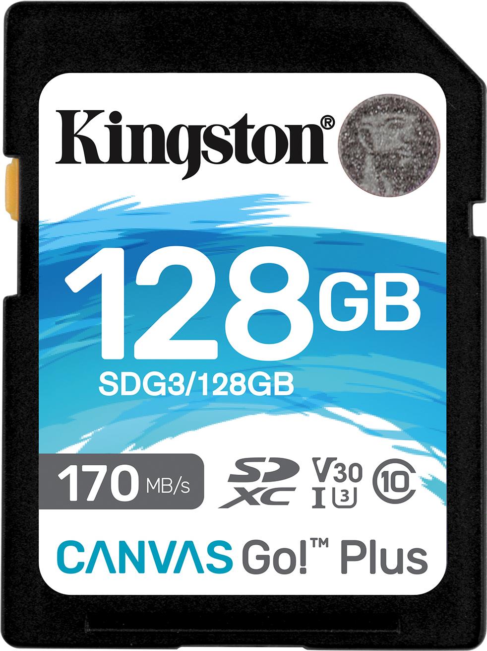 Canvas Go! Plus 128 GB SDXC, Speicherkarte