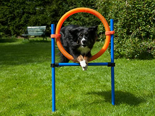 vabiono Hunde Agility Sprungring Jump-Ring Hürde Reifen Activity Training Set F