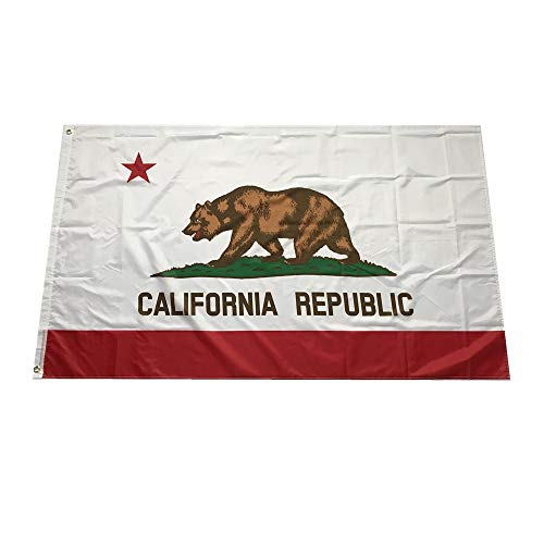 Stormflag China-Hersteller Kalifornien Staatsflaggen Polyester mit Messingösen