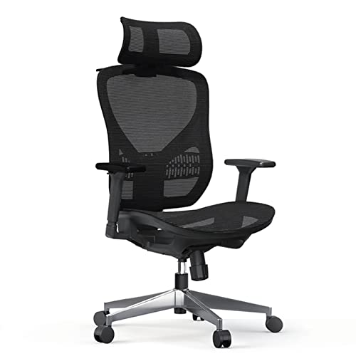 Bürostuhl, ergonomischer, atmungsaktiver Mesh-Gaming-Stuhl, Computerstuhl mit Lordosenstütze, sitzender Komfort-Chefstuhl mit Armlehne für Büro und Zuhause (Größe: Nylon, Grau: Mesh) Stabilize