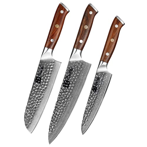 KENSAKI 3er Messerset aus Damaszener Stahl Küchenmesser Japanischer Art hergestellt aus 67 Lagen Damaststahl Gehämmert – Tetsu Serie