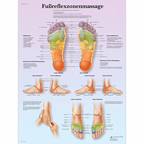 3B Scientific Lehrtafel laminiert - Fußreflexzonenmassage