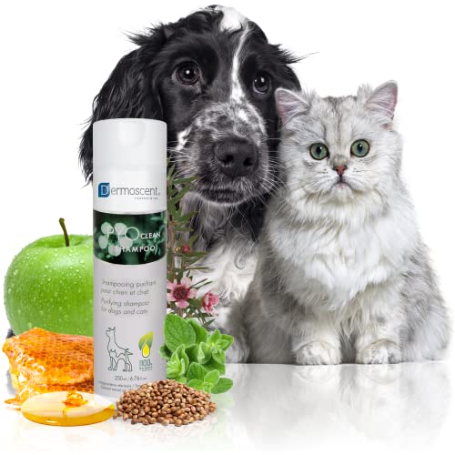 Dermoscent PYOclean Shampoo für Hunde und Katzen - Anti-Juckreiz-Sensitive-Formel zur Kontrolle von Hautinfektionen und Allergiesymptomen - 200 ml