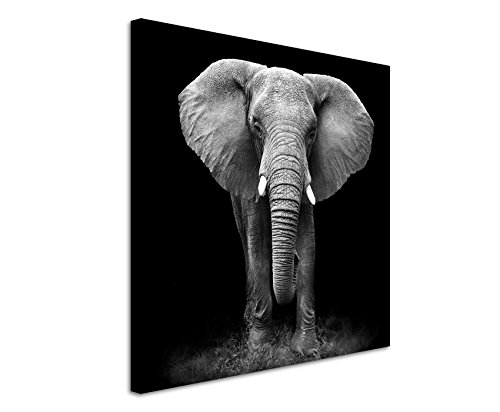 Unique Fine Art Print auf Leinwand 90x90cm Tierbilder – Großer Elefanten von vorne schwarz weiß