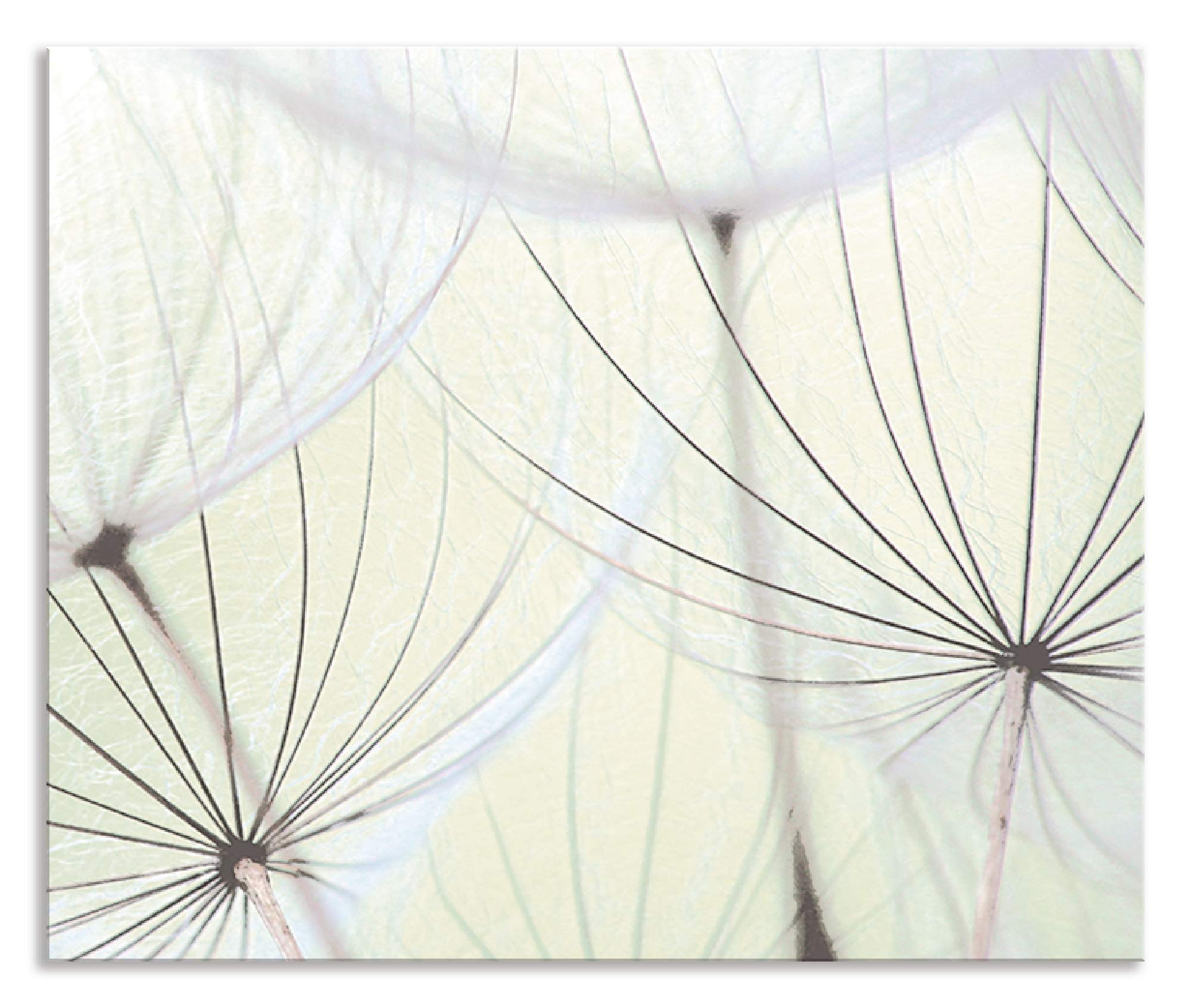 ARTland Spritzschutz Küche aus Alu für Herd Spüle 60x50 cm (BxH) Küchenrückwand mit Motiv Blume Pusteblume Landschaft Natur Zen Modern Hell Grün S9MV
