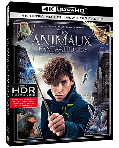 Blu-Ray - Fantastic Beasts And Where To Find Them (1 Blu-ray)