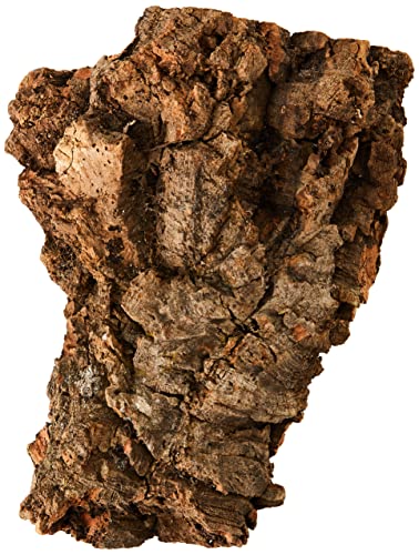 Komodo Habitat Rinde, Größe M