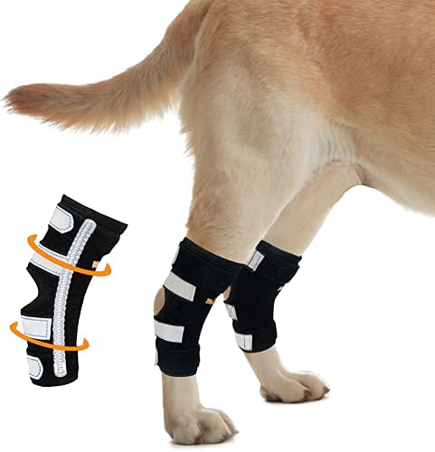 Hosenträger für Hunde mit Rückbeinen, sehr stützend, mit Doppelfedereinsätzen aus Metall zur Stabilisierung der Hinterbeine, hilft Hunde bei Verletzungen, Verstauchungen, Arthritis, ACL (XS Paar), L