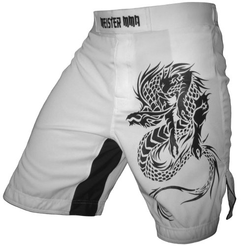 Meister MMA Dragon Hybrid Flex Boardshorts