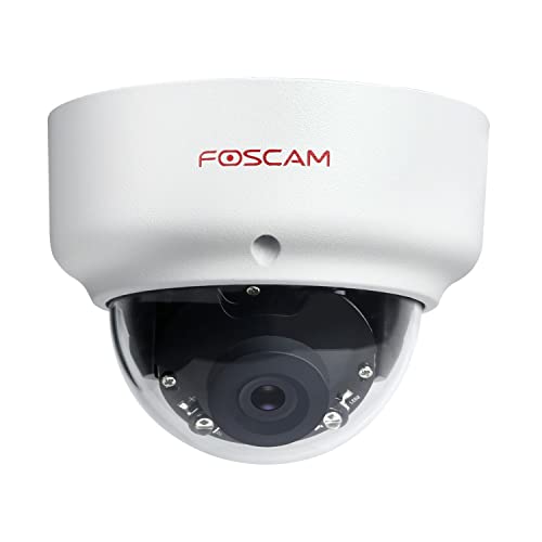 Foscam D2EP IP-Kamera für den Außenbereich, HD, 2 MP, Infrarot, 20 m, intelligente Bewegungserkennung, kompatibel mit Amazon Alexa