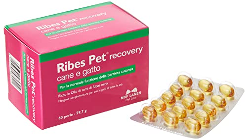 Ribes Pet Recovery 60 Tabletten