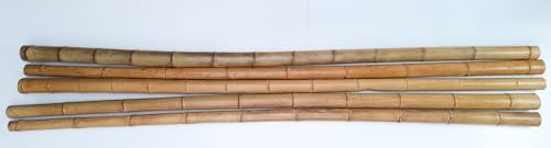 50 Bambusstangen 2-3cm 3m Bambusrohr Bambusrohre