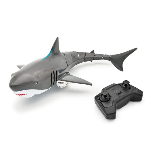 RC Shark