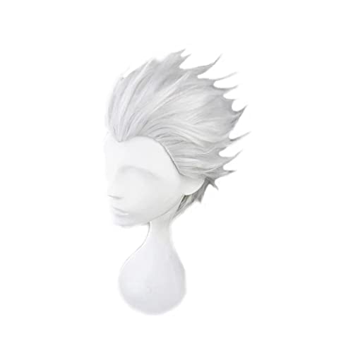 Fate/stay Night Emiya Shirou Archer Cosplay Wig Short Silver Grey Heat-resistant Fiber Hair Pelucas Anime Costume Role Play Wigs