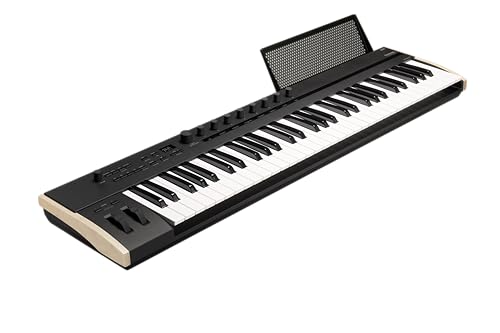 Korg KEYSTAGE-61 - Keystage 61 Key Poly AT MIDI Controller Tastatur – Schwarz