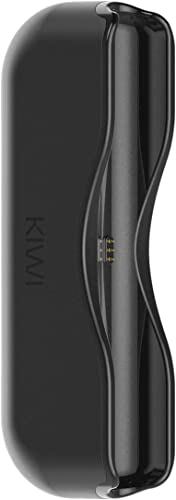 KIWI Powerbank für elektronische Zigarette mit System Pod, 1450 mAh Farbe Iron Gate, ohne Nikotin, ohne E-Liquide
