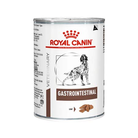Nass 6 Dosen Royal Canin Gastro Darm-Gastinal 400 gr Tierarzt Diet Futter Hunde mit Darmbeschwerden plus ein pflanzlicher Kaunnack Form Zahnhygiene