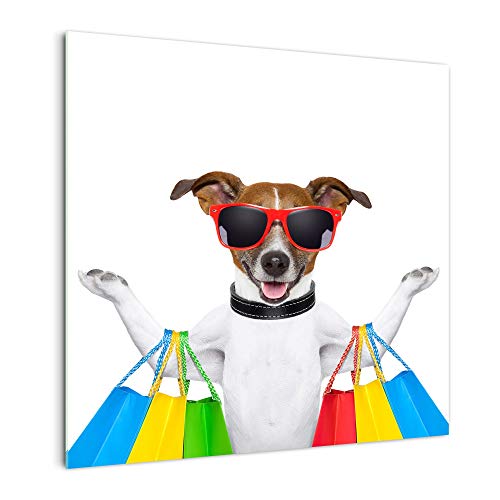 DekoGlas Küchenrückwand 'Hund geht shoppen' in div. Größen, Glas-Rückwand, Wandpaneele, Spritzschutz & Fliesenspiegel