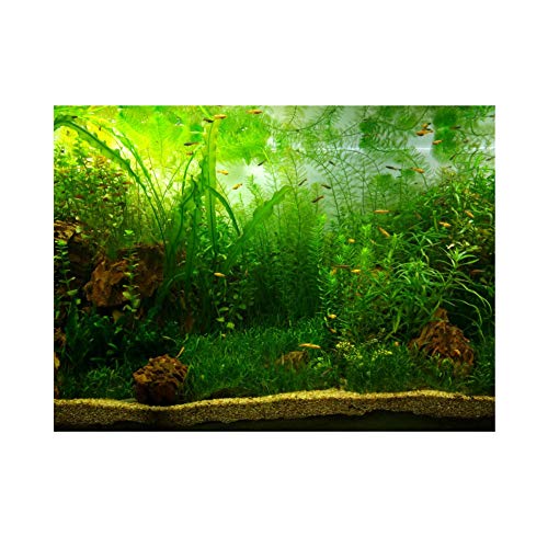 Aquarium Hintergrund Poster Wasser Gras Stil Aquarium Hintergrund PVC Adhesive Wanddekorationen Aufkleber Papier Cling Decals(122 * 50cm)