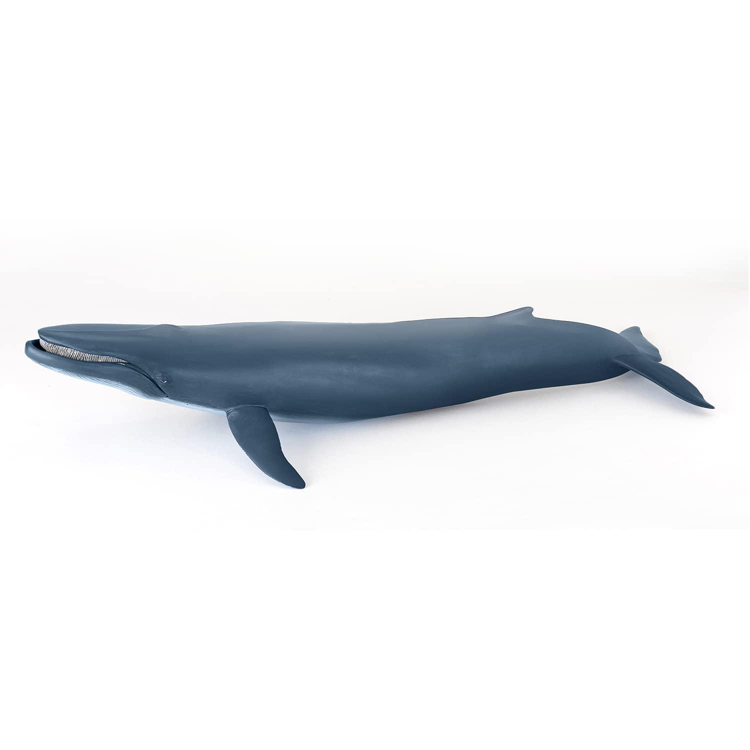 Papo - Große Figur - Wal, Meeresriese, Spielzeug für Kinder ab 3 Jahren - Meerestiere - 38.50 cm x 17.00cm - Erforschung der Ozeane und Sensibilisierung für das Leben im Meer