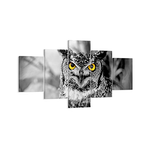 Bild auf Leinwand - Leinwandbild - Eule Vogel Natur - 125x70cm - Wand Bild - Wanddeko - Wandbilder - Leinwanddruck - Bilder - Kunstdruck - Wanddekoration - Leinwand bilder - Wandkunst - EA125x70-1318