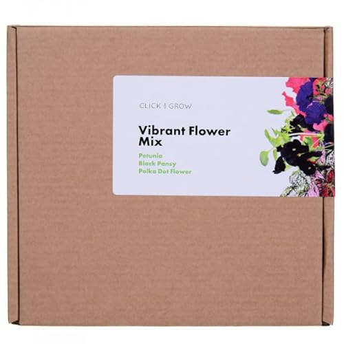 Click & Grow Vibrant Flower Mix 9er-Pack Mischung aus Zierblumen Zierblumenmischung 3 x Petunie 3 x Schwarzes Stiefmütterchen 3 x Hypoestes phyllostachya