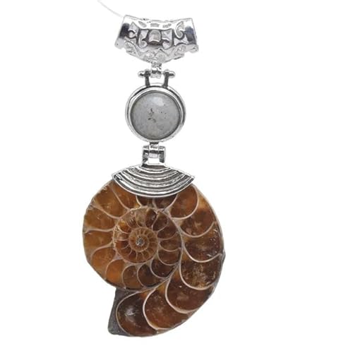1 Pc Charme Natürliche Ammonit Muschel Rosa Kristall Perle Tigerauge Stein Anhänger Für Halskette Frauen Männer Schmuck, Metall