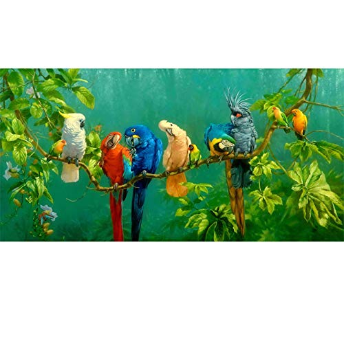 Moderne Dekorative Drucke Bilder Bunte Papageien Tier Malerei Leinwand Malerei Wandkunstdrucke Für Wohnzimmer 55x110cm (22x43in) Mit Rahmen