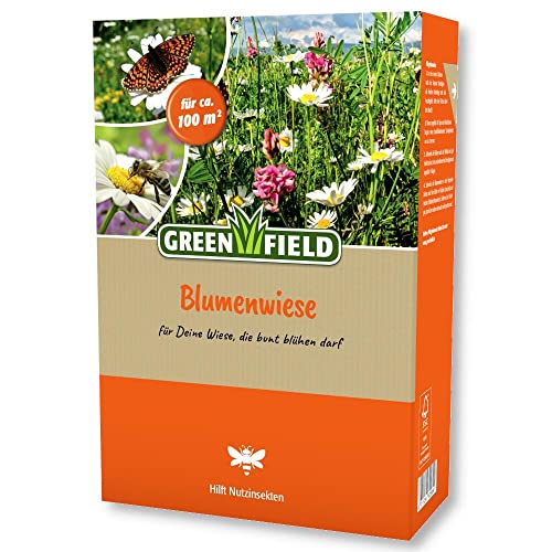 Greenfield Blumenwiese Farbenfroh lange Blühdauer Mehrjährig 1 KG Ausreichend für ca: 100,0 m²