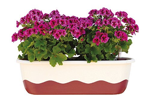 Blumenkasten Bewässerungskasten 'Mareta' 60 u. 80cm mit Selbstbewässerung, Farbe:Hell-Elfenbein + Weinrot, Größe/Durchmesser:80 cm