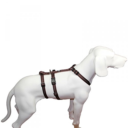 Das Original - NoExit Hundegeschirr ® - 100 % ausbruchsicher für Angsthunde, Sicherheitsgeschirr für Pflegehunde, Panikgeschirr, braun Streifen, Bauchumfang 60-80 cm, 25 mm Bandbreite