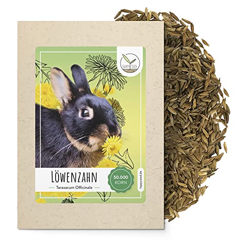 Löwenzahn Samen für Kaninchen - Wildkräuter Saatgut als optimale Futterergänzung für Kaninchen, Meerschweinchen und Schildkröten (50.000 Samen)