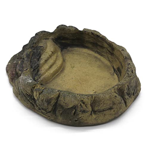 ZooPaul Terrarium Reptilien Schale beige L ca. 20x17x4 cm (L/B/H) Trink Wasserschale Wassernapf Futterbar