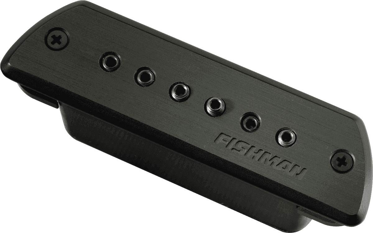 Fishman Blackstack Doppelspule passif pour rosace