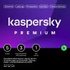 Kaspersky Premium 5 User 1 Jahr PKC (multilingual) (Multi-Device)