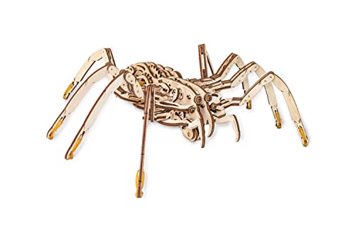 EWA Eco-Wood-Art Spider