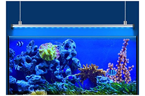 EHEIM Aquarium LED-Beleuchtung »powerLED+ marine actinic«, 487 mm, 13 W
