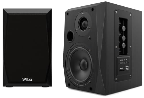 WIIBO - Neo 50 - Tragbare Bluetooth-Lautsprecher - Intelligente HiFi-Lautsprecher - Regallautsprecher - Leistung 50 W - 145 mm x 200 mm x 230 mm - Farbe Schwarz - Inklusive Fernbedienung