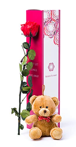 Rosen-Te-Amo – Haltbare echte Rose mit weißem Teddybär und Grußkarte zum Herunterladen; Konservierte Blumen - Geschenk Set für romantische Gelegenheiten