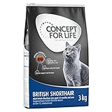 Concept for Life British Kurzhaar Trockenfutter für ausgewachsene Katzen, 3 x 3 kg, hergestellt mit Reis, reich an Fleisch mit essentiellem Taurin