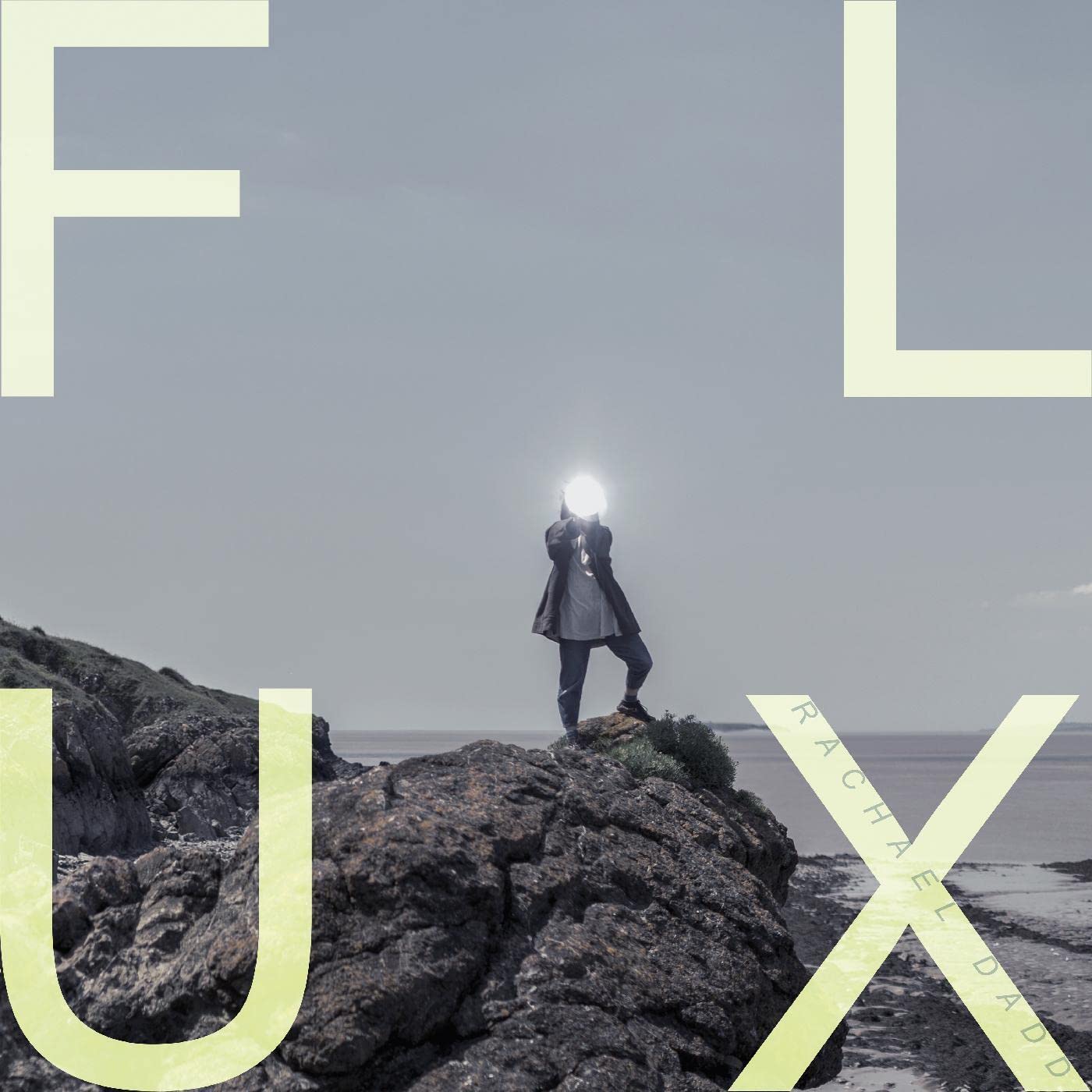 Flux [Vinyl LP]